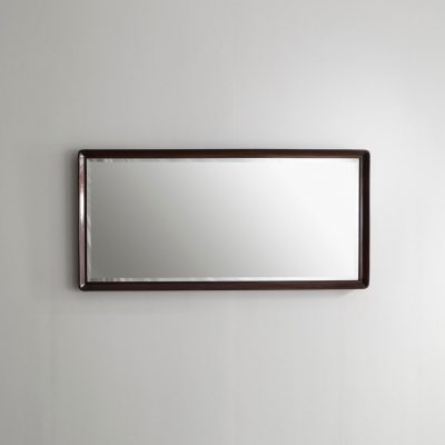 Large rectangular jacaranda mirror with beveled edge.
